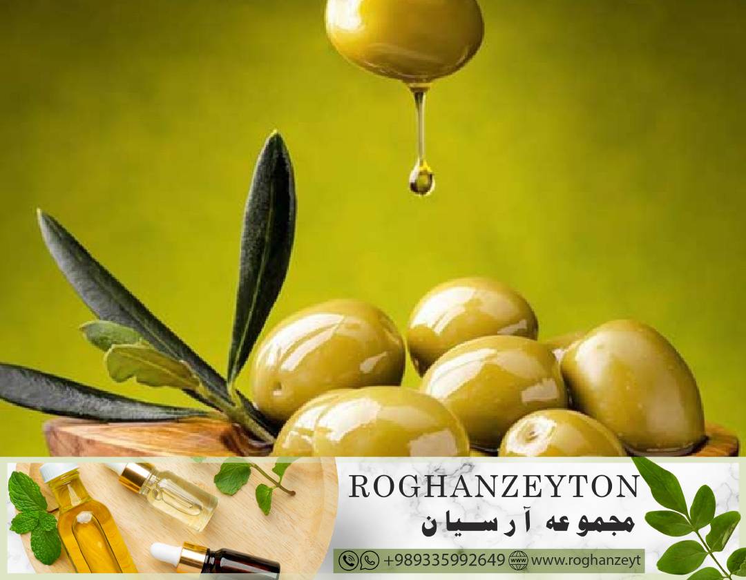 کاهش هزینه‌ها در تولید روغن زیتون صادراتی