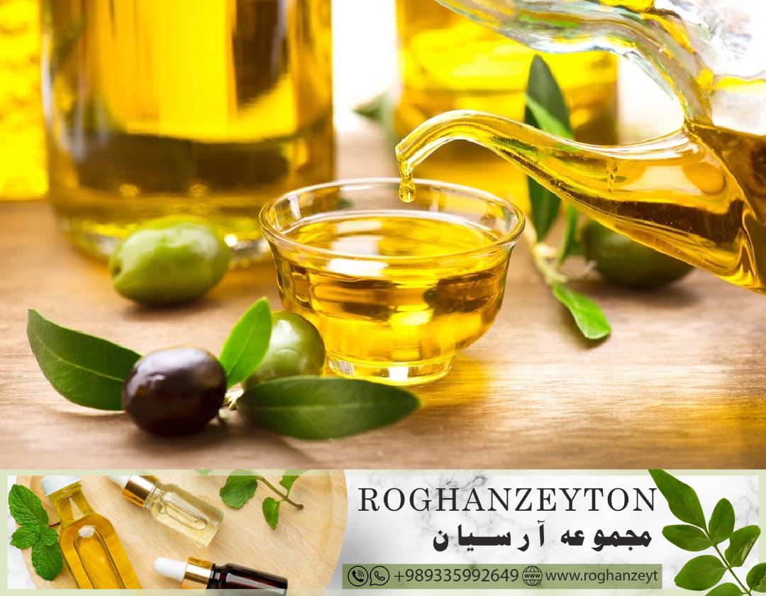 رازهای خرید روغن زیتون بکر شمال ایران با طعم خاص